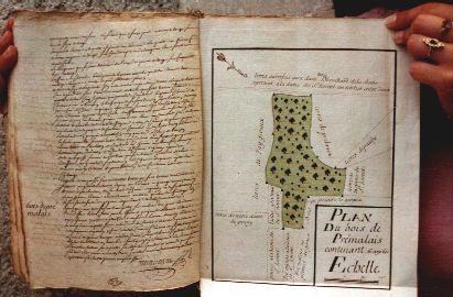 Dessin du bois Primalai (document du XVIIIème s. - Archives Dép. de l'Indre)